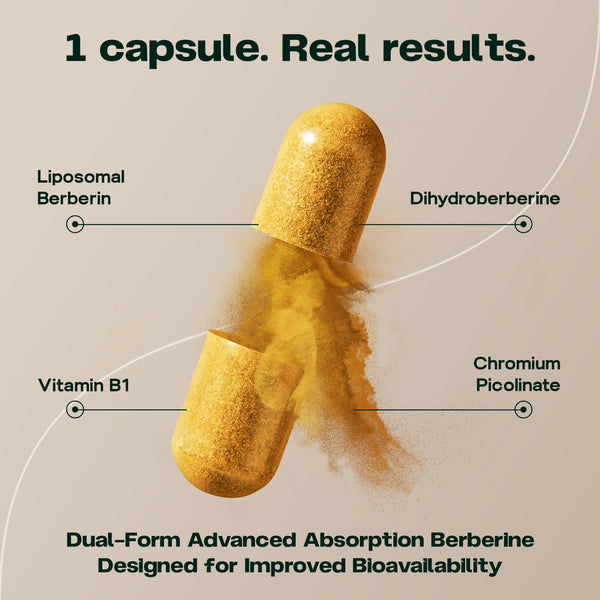 Supporto alla berberina