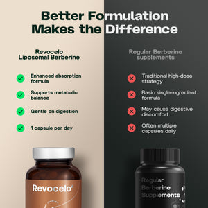 Supporto alla berberina