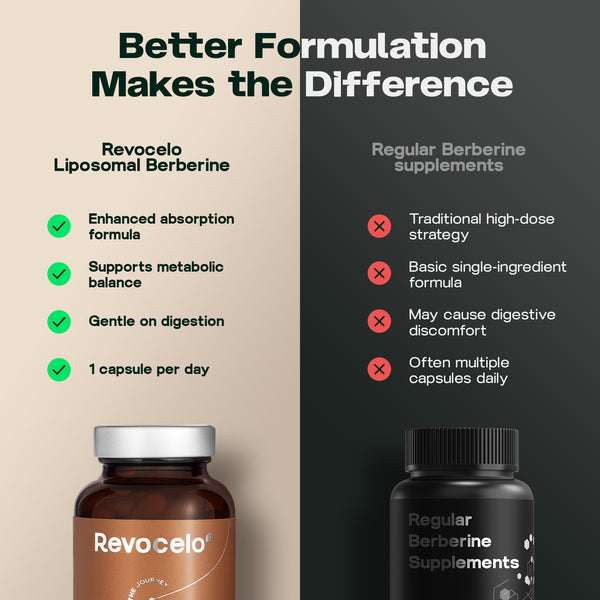 Supporto alla berberina