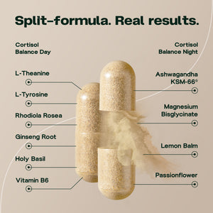 Équilibre du cortisol jour et nuit