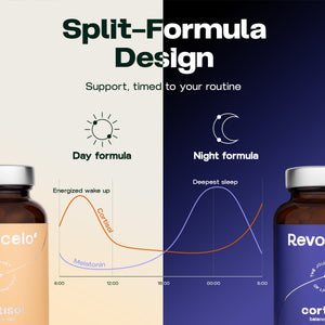Équilibre du cortisol jour et nuit