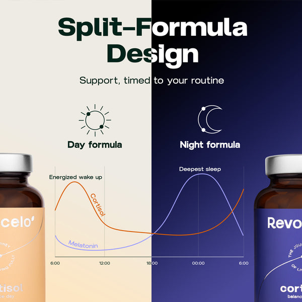 Équilibre du cortisol jour et nuit