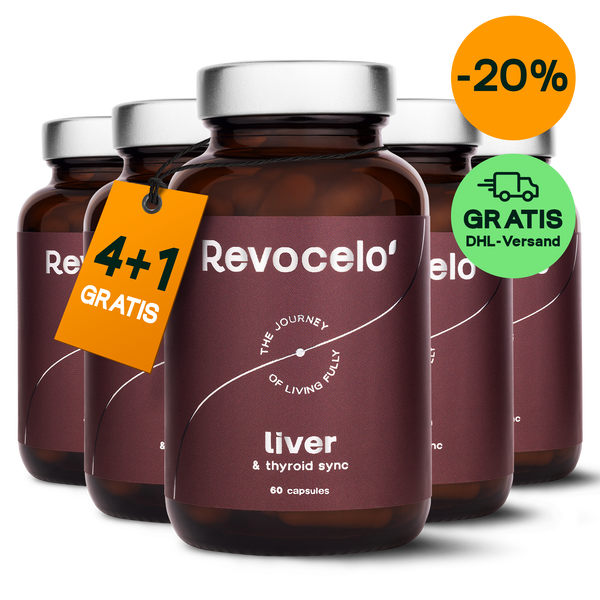 Liver & Thyroid Sync