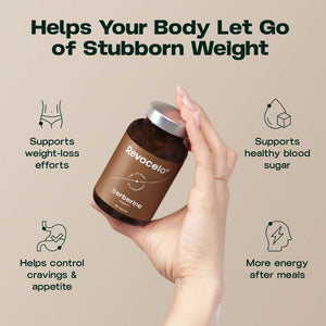 Liposomal Berberine Support