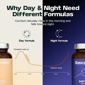 Cortisol Balance Day & Night
