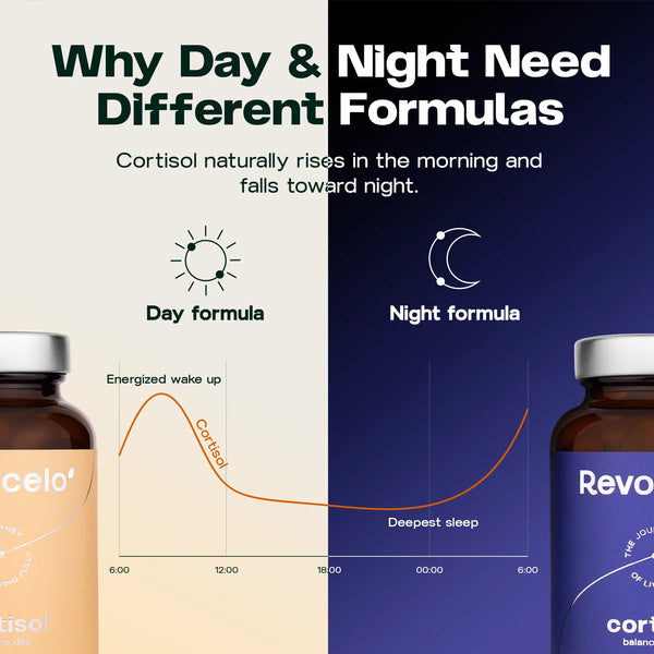 Cortisol Balance Day & Night