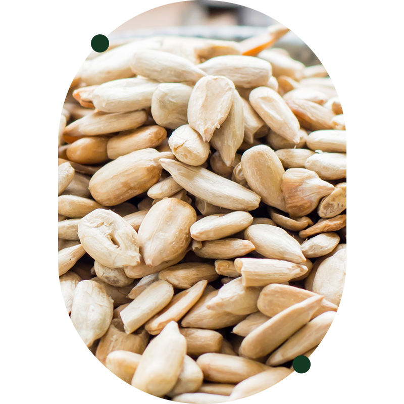 Vitamina B1 (tiamina)